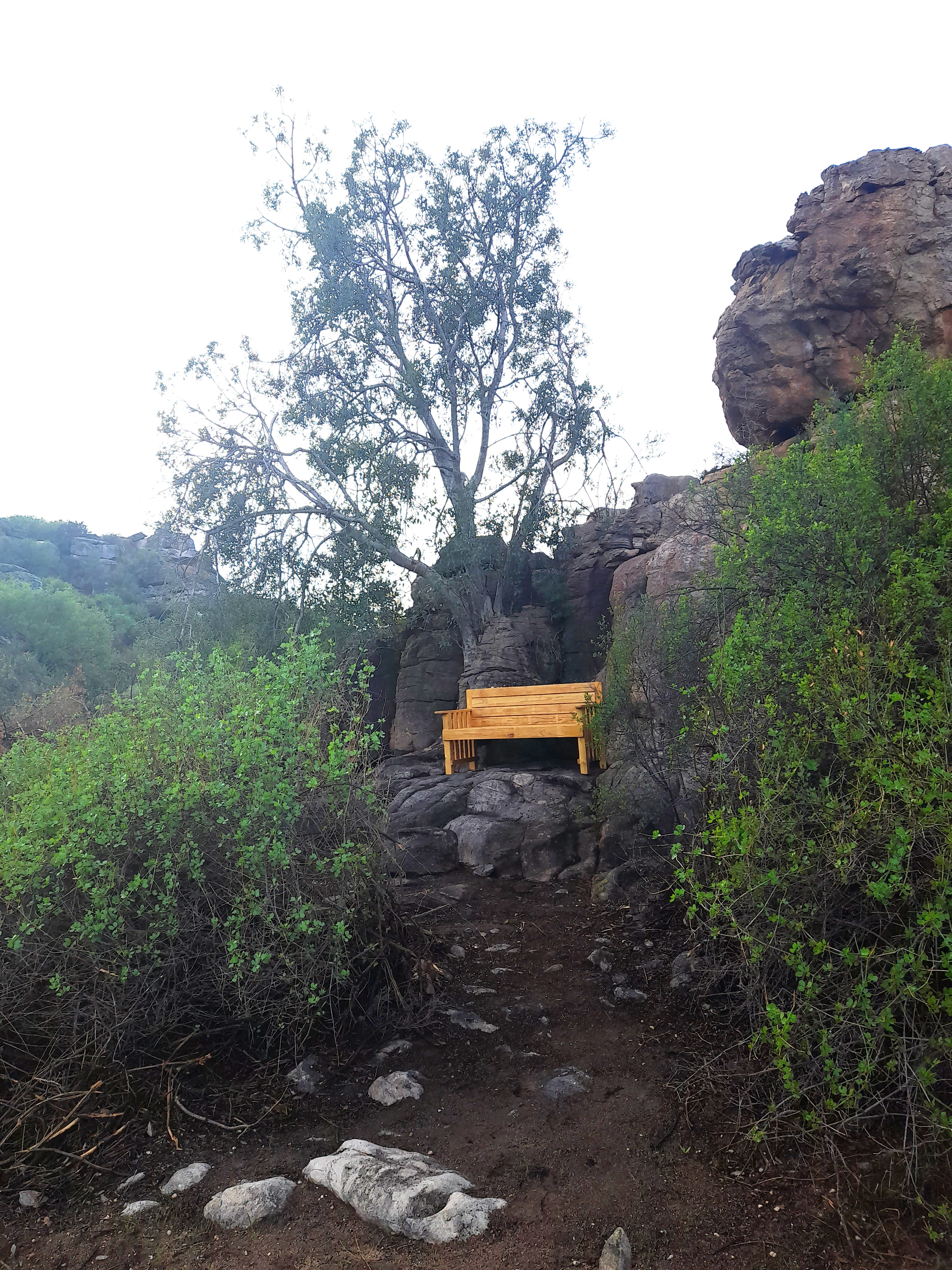 Stone and Stem rest area on the trail